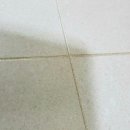 옥산당구장 이미지