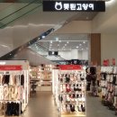 엔캣AK&