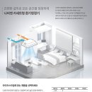 난곡동-42 Daum카페