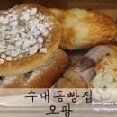 수내동 오팡 (치즈랑토마토,앙버터,찰떡찰떡,달콩이)