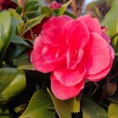 삼정보건진료소 이미지