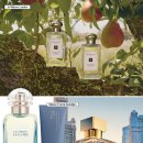 (주)라메르솔루션 이미지