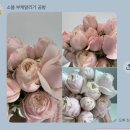 소봄공방 | 아산 부케말리기 공방 부케레진 소봄 부케기프트 줄맨드라미