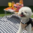 동래유치원 이미지