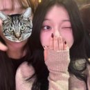 와크와크 이미지