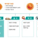 티에스(TS) 이미지