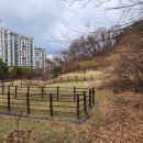 수서동 기와요지 이미지