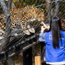 효성과일 이미지