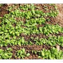 경종농장 이미지