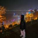 해양대학로 | 목포대교 스카이워크 뷰맛집 대반동 술집 목포밤바다 조개전골 후기