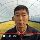 나도 한번 해볼까? 초보 유튜버가 알아야 할 기본 상식