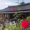 산에는 꽃이피네 이미지