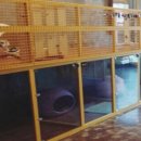 허그도그 이미지