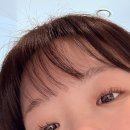 법원로4길 31 | 문정 속눈썹펌 그린래쉬 내돈내산 후기 (한달이 지나고...)