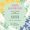 법인자연을담다