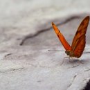 행정사 사람중심 사무소 이미지