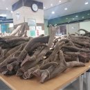 경희일생한의원
