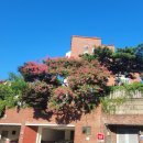 대주마트 이미지