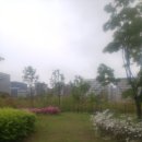 비오는날 비전철학관작명원(송파법조타운 푸르지오시티)앞 소공원 - 1 이미지
