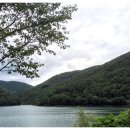 들국화(만수)마을 이미지