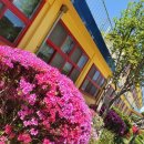 재주 태양광발전소 이미지