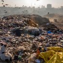 Six Billiards 이미지