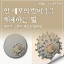 (주)케이메드 네이버블로그