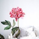 보테니컬아트 이미지