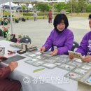 간성읍 달홀공원 강원도민일보