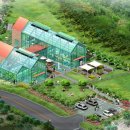 싱그랭이 이미지