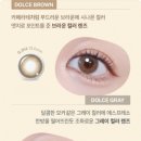 렌즈모아 이미지