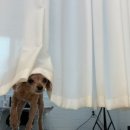 멍무이 쌀롱 이미지