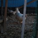 두마농장 이미지