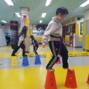 경희 라이온 태권도장 이미지