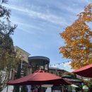 피자스쿨금촌역교차로점 이미지