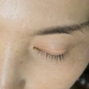 멜리래쉬 네이버블로그