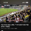 Hi 몽 네이버블로그