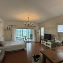 아라뜰데이지 이미지