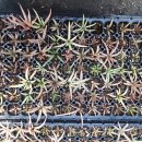 보경농장 이미지