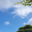 일조식당 이미지