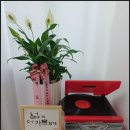 바니속눈썹 - 북구 구포동 | 바니속눈썹