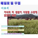 「매밀꽃 필 무렵」 해석, 이효석 현대소설 분석 해설