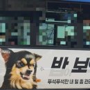 밥이보약 이미지