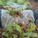 건일농장 이미지