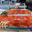 팔공수산 이미지