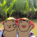 플라주펜션 | 다낭 6박 8일 여행 6일차 : 다한스파 남호이안점-네일아트, 페디큐어 받기/코코넛배타기/다한스파 안방...