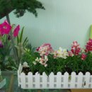 반도노인요양원 이미지