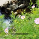 상신계곡펜션 이미지