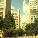 GS삼숭자이 이미지