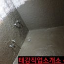 수정직업소개소
